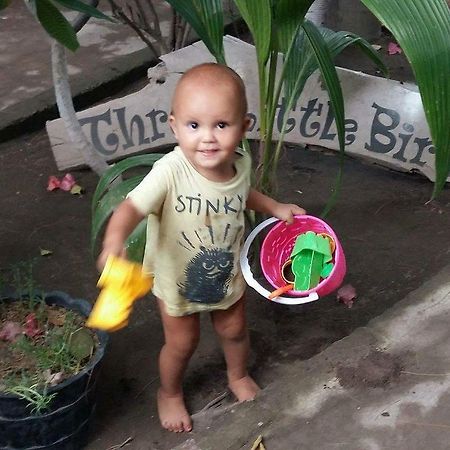 Three Little Birds Homestay Gili Trawangan Esterno foto