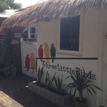 Three Little Birds Homestay Gili Trawangan Esterno foto