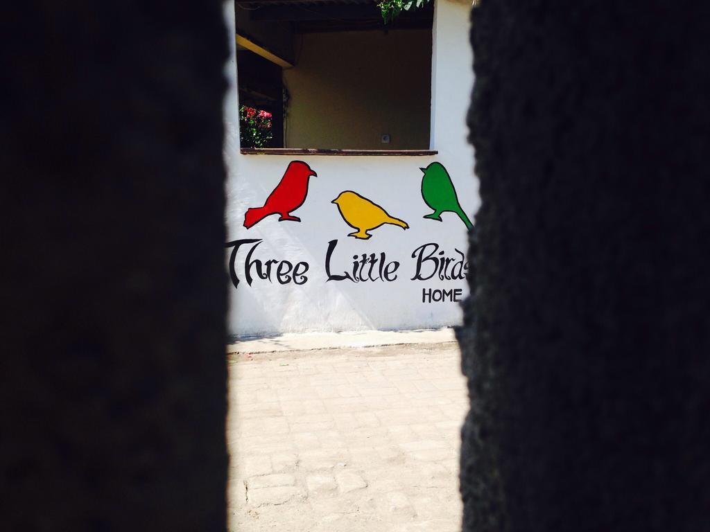 Three Little Birds Homestay Gili Trawangan Esterno foto