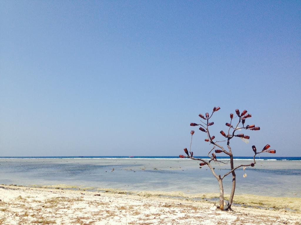 Three Little Birds Homestay Gili Trawangan Esterno foto